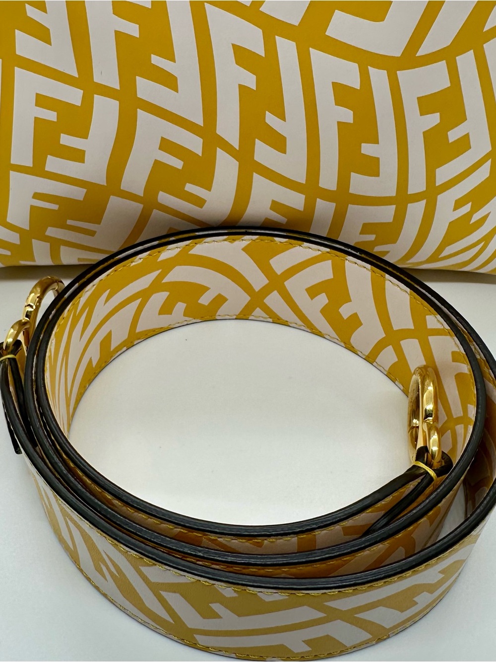 FENDI X SARAH COLEMAN Vertigo Peekaboo With Strap and Rain Cover - Picture 3 of 16